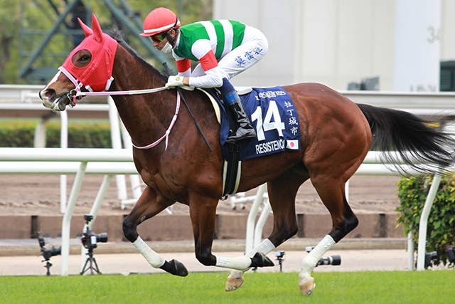 ソングライン＆シュネルマイスターが揃って引退 マイルでしのぎを削った