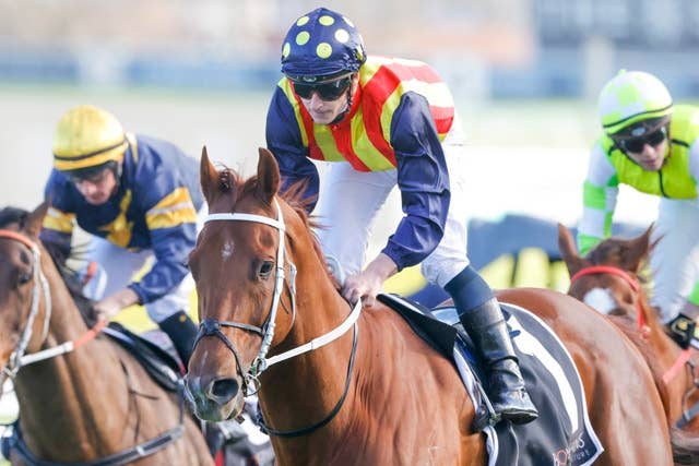 世界最強スプリンター、ネイチャーストリップのローテ判明 JRAVAN World 海外競馬情報サイト