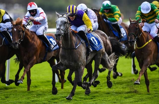仏G1制した8歳牝馬プリンセスゾーイ、障害レース転向へ | JRA