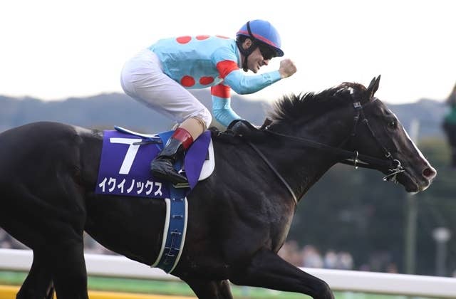 ドバイWCデー諸競走登録馬を主催者が発表 ホープフルS覇者ドゥラエレーデはUAEダービー | JRA-VAN World - 海外競馬情報サイト