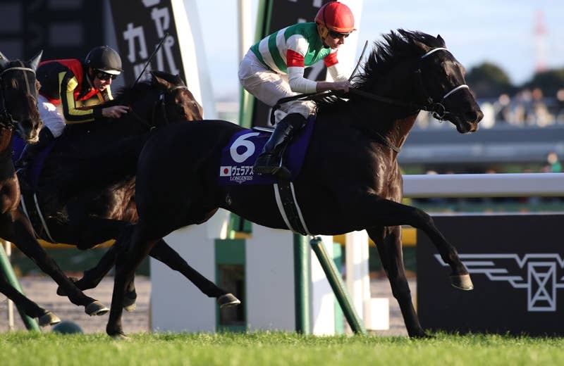 ヴェラアズール（Vela Azul） | 競馬データベース | JRA-VAN