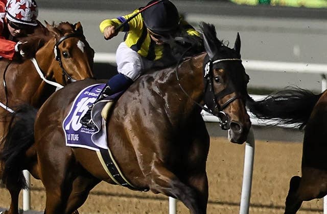 サウジカップ（G1） 2023/2/25(土) | 日程・結果 | JRA-VAN