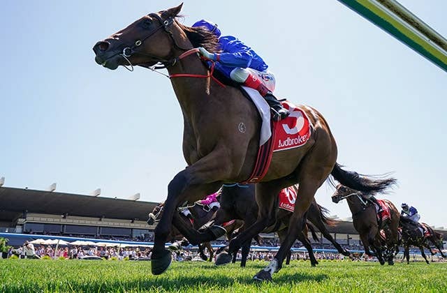 豪2歳重賞ブルーダイヤモンドプレリュード、ゴドルフィンが牡・セン馬