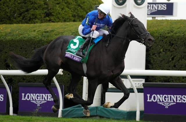 BCターフ覇者レベルスロマンス、前脚の炎症でドバイシーマC前哨戦を回避 JRAVAN World 海外競馬情報サイト