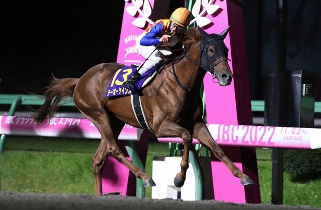 松山弘平　サイン　テーオーケインズ　帝王賞　ミニゼッケン　競馬 松山弘平 サイン テーオーケインズ 帝王賞 ミニゼッケン 競馬