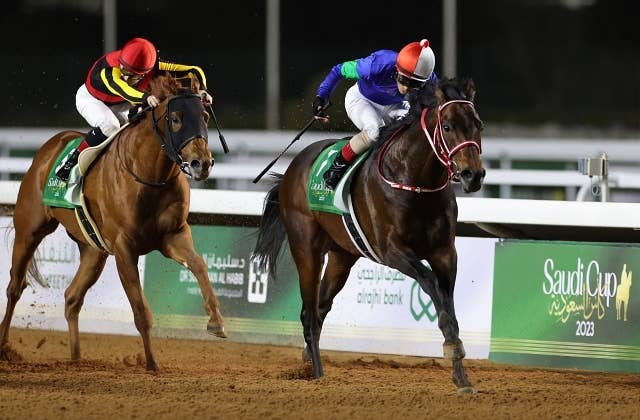 最新世界ランキング、サウジC制覇のパンサラッサは6位タイ | JRA-VAN