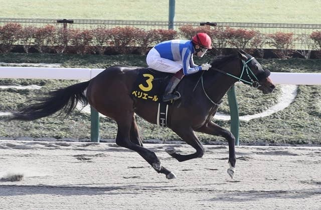 【新品ベルト】【希少】世界限定 ピエールラニエ 馬 競馬 乗馬 楽天市場】自動巻き 防水 43mm レザー FKMベルト 金属ベルト 革