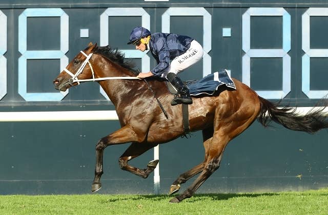 シンゾーが世界最高賞金の2歳G1を快勝、ウォーラー師は豪州四大
