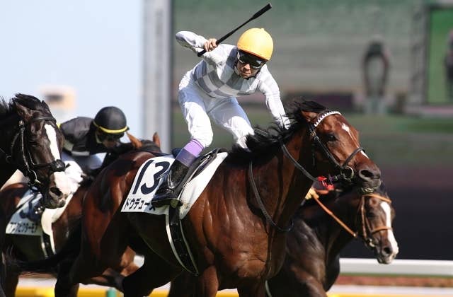 ドバイターフ枠順】ドウデュースは13番枠、セリフォスは5番