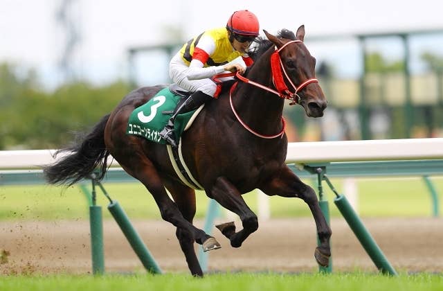 ユニコーンライオン（Unicorn Lion） | 競馬データベース | JRA