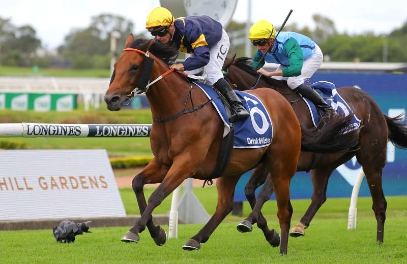 競馬ファンの方、海外レース、優勝馬 海外競馬 - UMATOKU | 馬トク