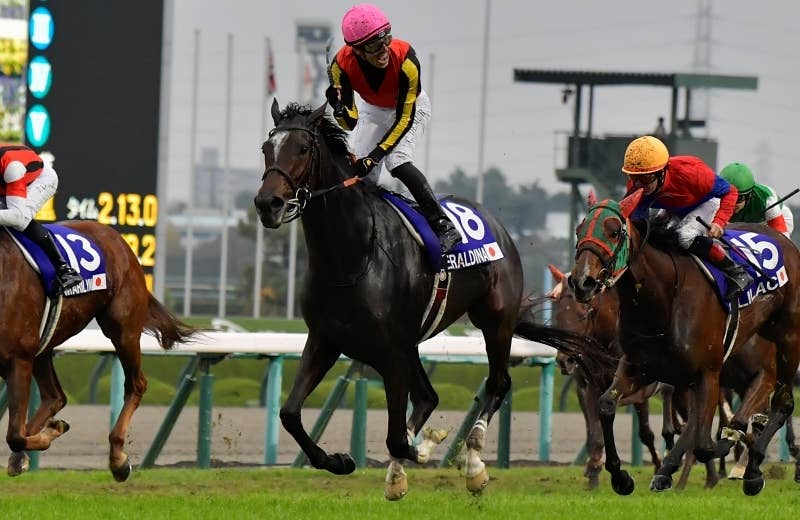 ジェラルディーナ（Geraldina） | 競馬データベース | JRA-VAN