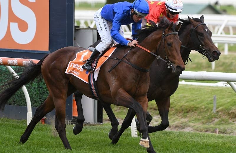 アナモー(Anamoe) | 競馬データベース | JRA-VAN World - 海外 アナモー(Anamoe) | 競馬データベース | JRA-VAN World - 海外