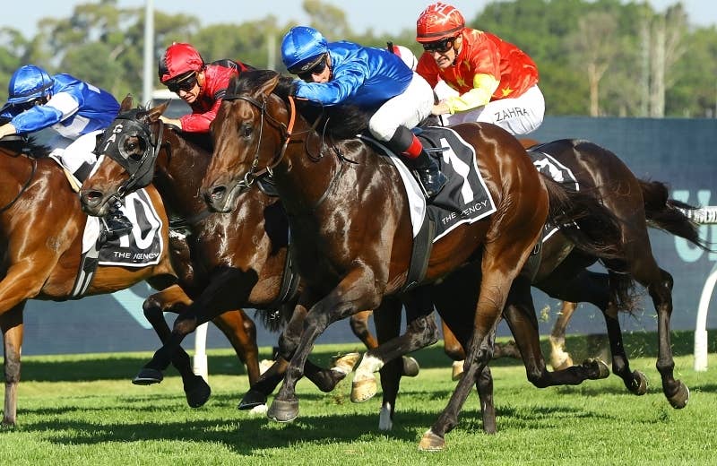 アナモー（Anamoe） | 競馬データベース | JRA-VAN World - 海外