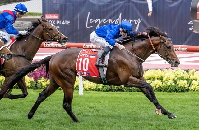 競馬 JRA レープロ950708札幌 チアズダンサー / エアグルーヴ初出走 / 種牡馬トウカイテイオー Yニシノフラワー image-771-150x150.jpeg