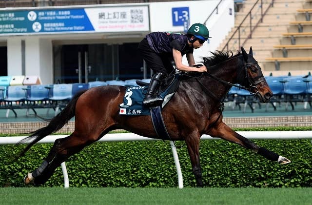 香港遠征中のジェラルディーナらが追い切り、「順調にいってくれたら