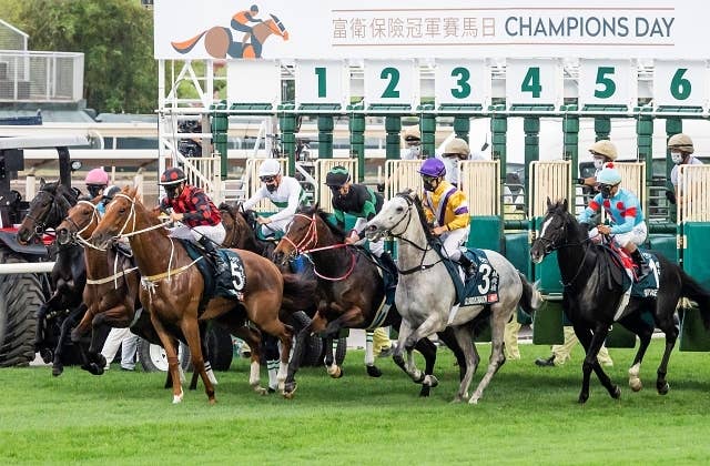 2023クイーンエリザベス2世カップ | JRA-VAN World - 海外競馬