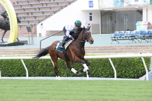 ダノンザキッド(Danon the Kid) | 競馬データベース | JRA-VAN ダノンザキッド(Danon the Kid) | 競馬データベース | JRA-VAN