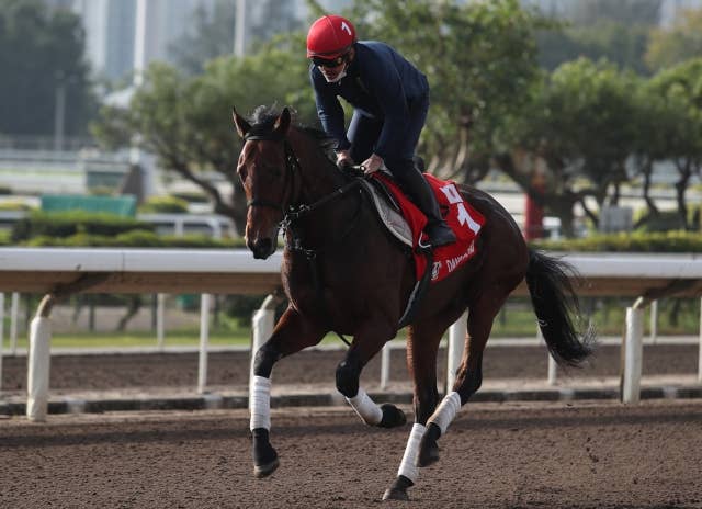 ダノンザキッド(Danon the Kid) | 競馬データベース | JRA-VAN ダノンザキッド(Danon the Kid) | 競馬データベース | JRA-VAN