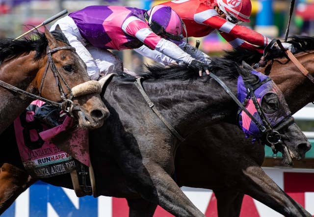 マンダリンヒーローに朗報！ ケンタッキーダービー出走確定 JRAVAN World 海外競馬情報サイト