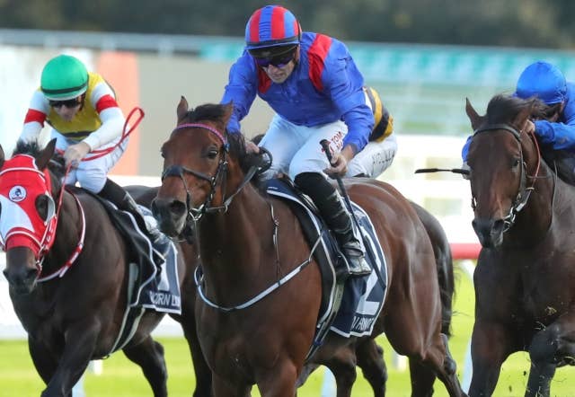 ドバイオナーが休養入り、豪州から香港の海外遠征で好走 JRAVAN World 海外競馬情報サイト