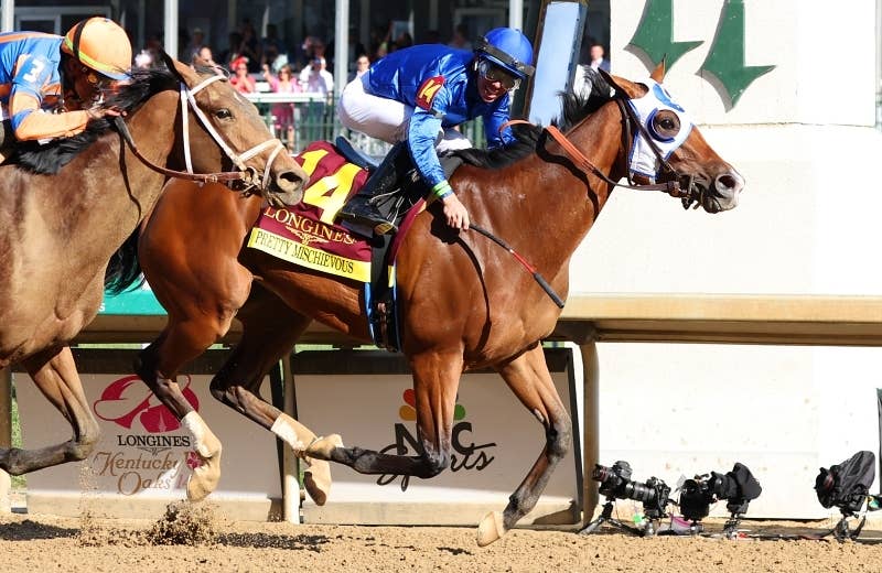 プリティミスチヴァス（Pretty Mischievous） 競馬データベース JRAVAN World 海外競馬情報サイト