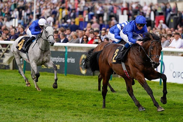 2年前の英ダービー馬アダイヤー、英G3ゴードンリチャーズSで健在証明 JRAVAN World 海外競馬情報サイト