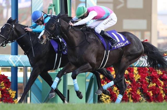競走馬記念ブルゾン ドゥラエレーデ