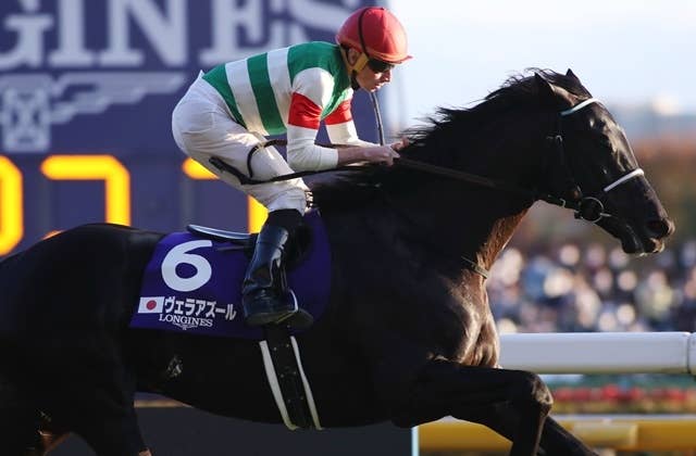 昨年のジャパンC覇者ヴェラアズール、宝塚記念は松山弘平騎手と再