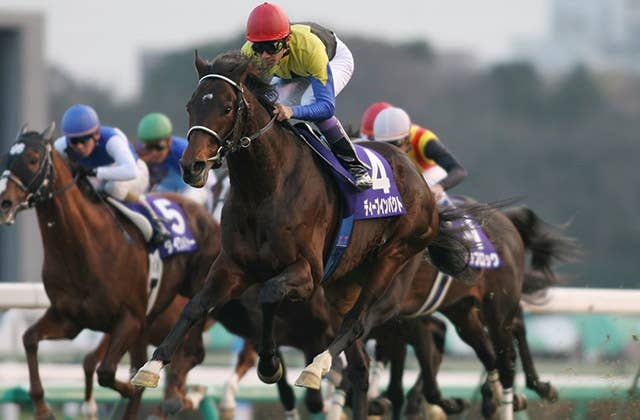 2023英ダービー | JRA-VAN World - 海外競馬情報サイト