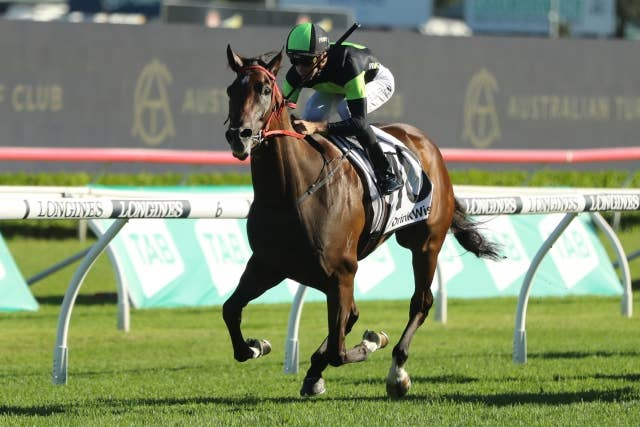 シンクアバウトイットが7連勝、末脚炸裂で豪G1ストラドブロークHも制す JRAVAN World 海外競馬情報サイト