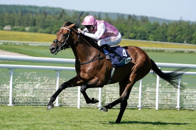 ハーツクライ産駒コンティニュアス、ロイヤルアスコット開催の長距離G2