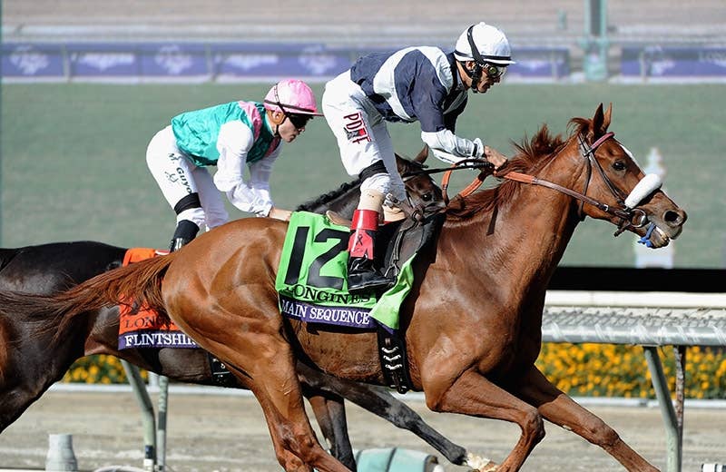 HERMES エルメス SEQUENCES シーケンス 馬 ホース メインシークエンス