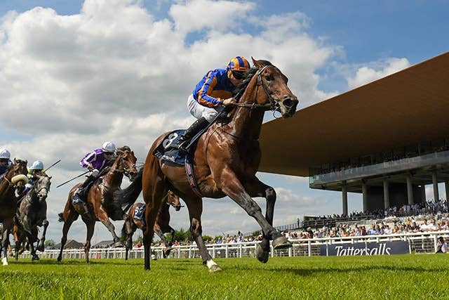 4カ月で6連勝の鉄馬パディントン、中2週で英インターナショナルSへ