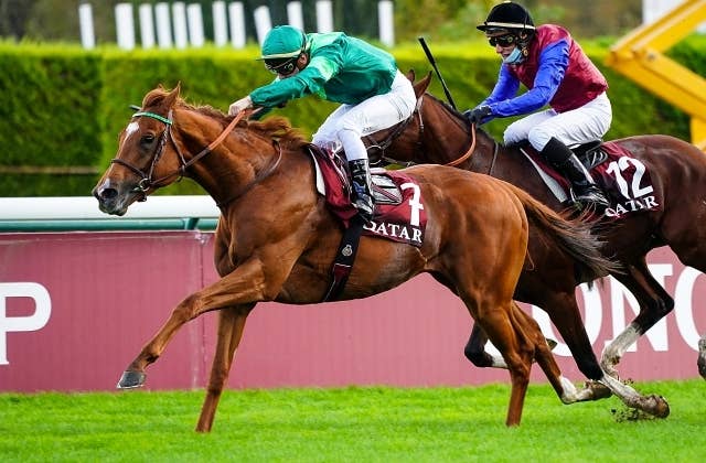 フランス・アルカナ社セールで中内田師が凱旋門賞馬ソットサスの初年度