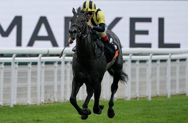 仏2歳G1モルニー賞、ヴァンディークがデビュー3連勝で制す JRAVAN World 海外競馬情報サイト