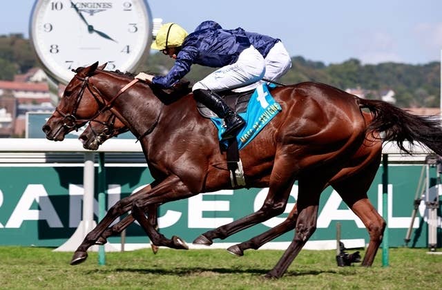 マルキーズドゥセヴィニエがG1連勝、ジャンロマネ賞をハナ差勝ち JRAVAN World 海外競馬情報サイト