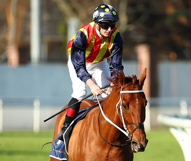 豪州のマクドナルド騎手、落馬負傷で1カ月の戦線離脱 JRAVAN World 海外競馬情報サイト