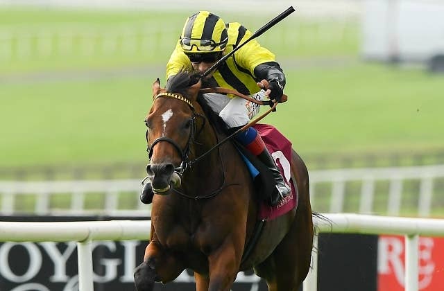 愛セントレジャー、エルダーエルダロフが長距離王キプリオスに快勝 JRAVAN World 海外競馬情報サイト