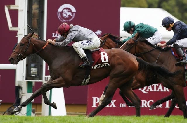 競馬ファンの方、海外レース、優勝馬 競馬ファンの方、海外レース、優勝馬