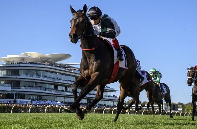 豪州で5連勝中のミスターブライトサイド、年末は香港遠征も JRAVAN World 海外競馬情報サイト