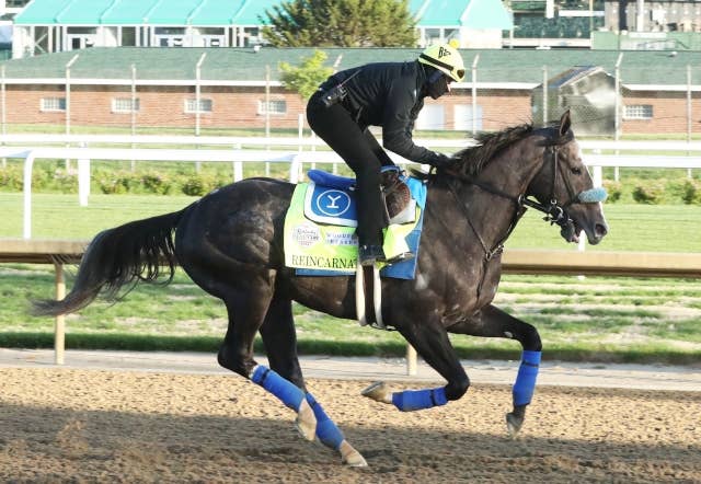リインカーネイト（Reincarnate） | 競馬データベース | JRA-VAN World