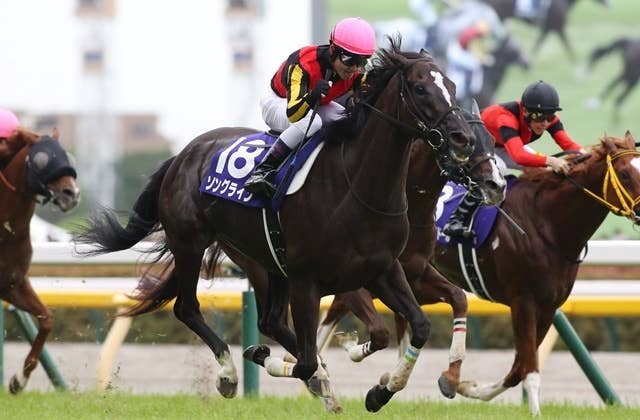 競馬　ポスター　ソングライン ポスター ソングライン引退記念 - 競馬グッズの通販サイト