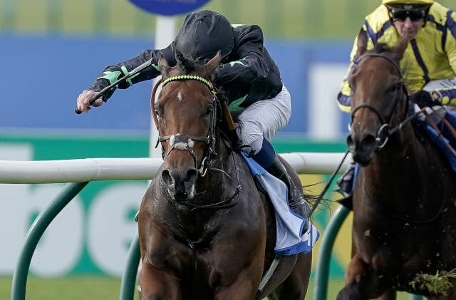 2023ブリーダーズカップターフスプリント JRAVAN World 海外競馬情報サイト