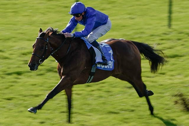 英2歳G3ゼットランドS、アラビアンクラウンが圧勝でダービー戦線に浮上 JRAVAN World 海外競馬情報サイト