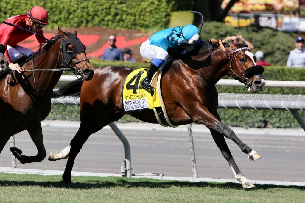 マスターオブフォックスハウンズ(Masteroffoxhounds) | 競馬 マスターオブフォックスハウンズ(Masteroffoxhounds) | 競馬