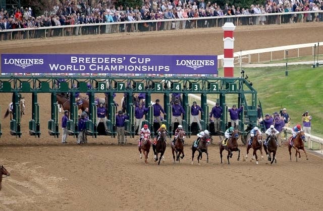 2023ブリーダーズカップ | JRA-VAN World - 海外競馬情報サイト