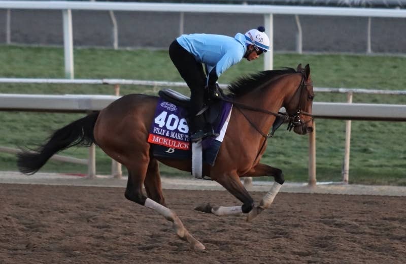 マキューリック（McKulick） | 競馬データベース | JRA-VAN