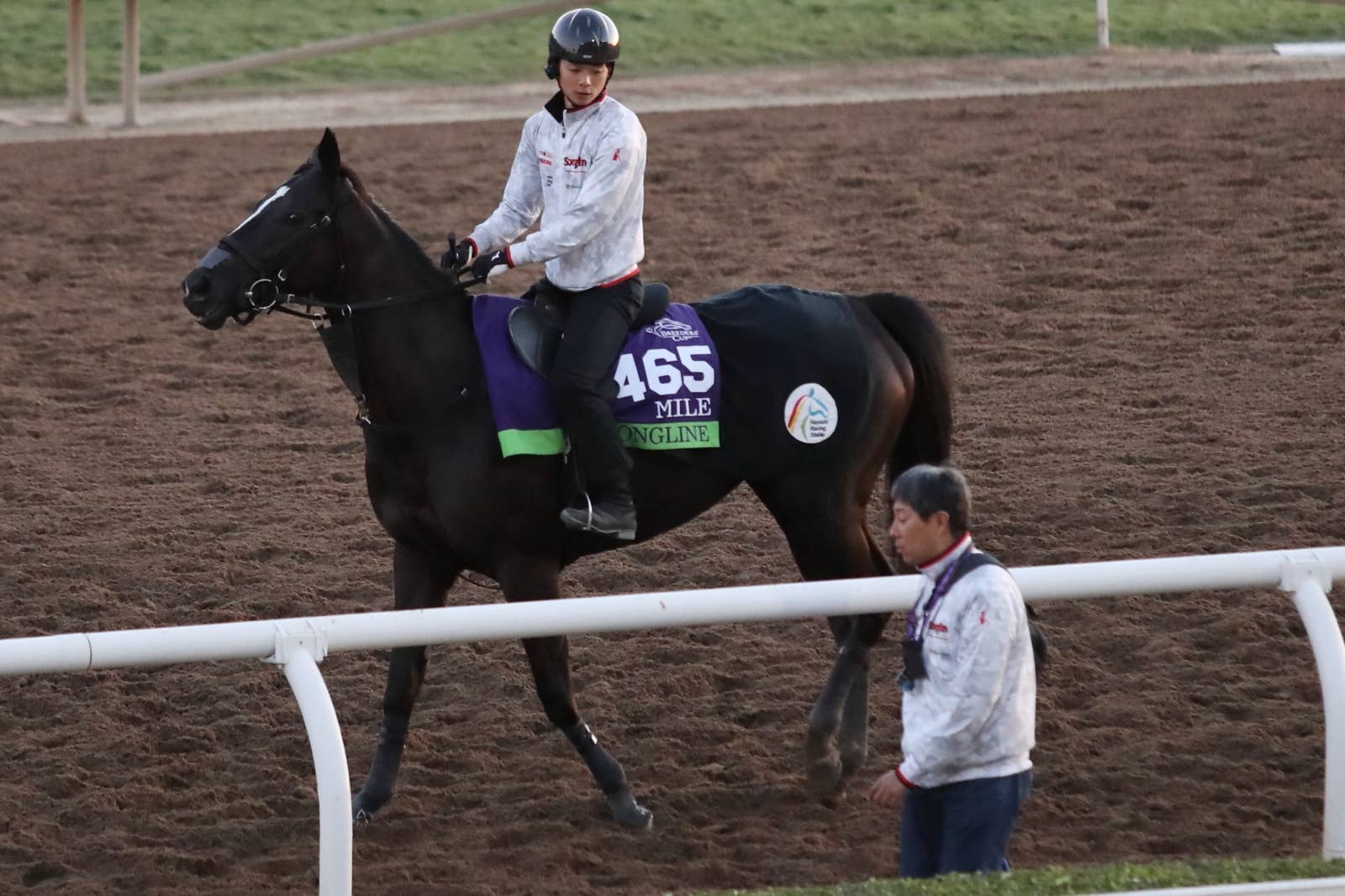 ソングライン（Songline） | 競馬データベース | JRA-VAN World
