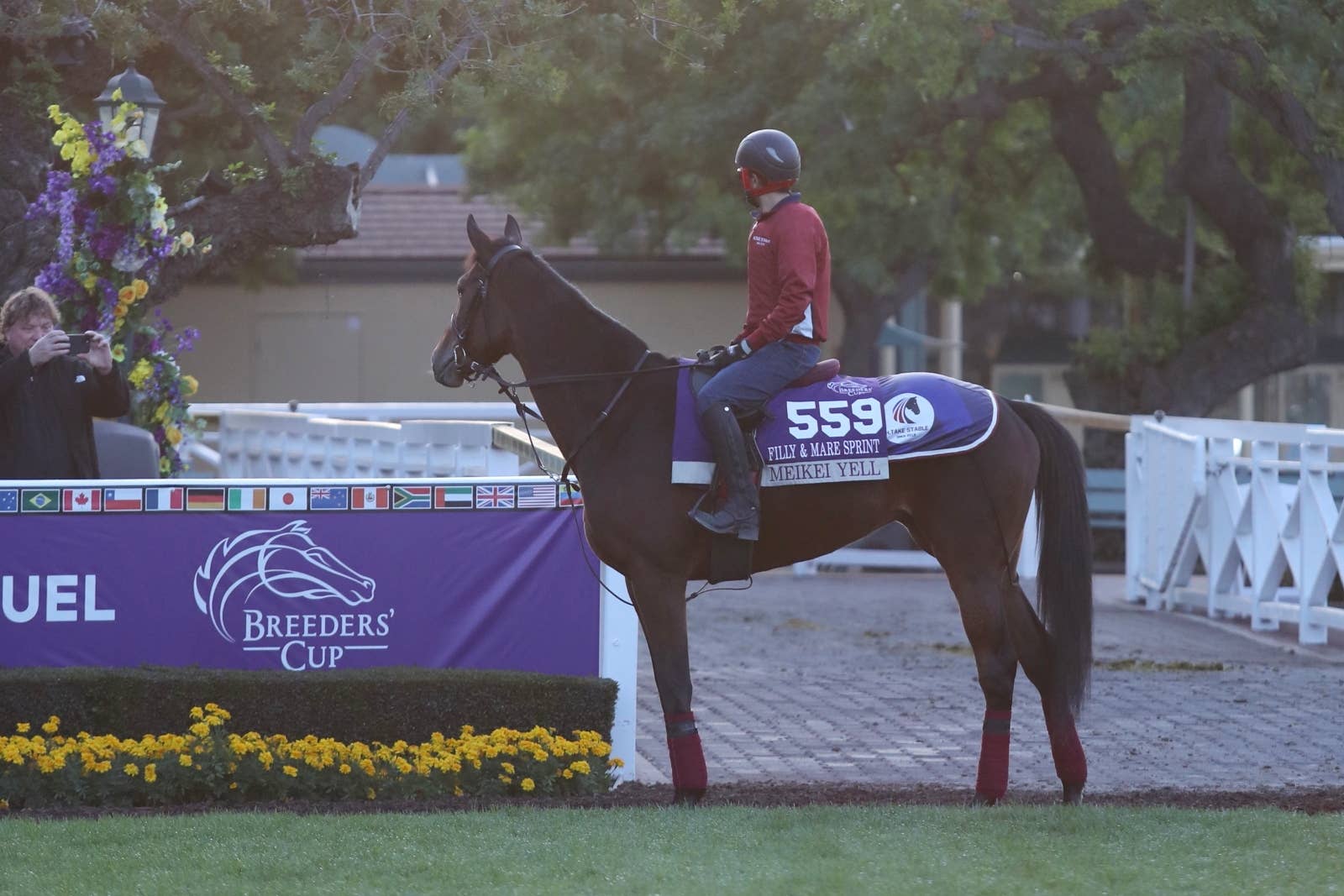 メイケイエール　トートバッグ　中京競馬場　JRA－VAN JRA 東京競馬場トートバッグ - メルカリ